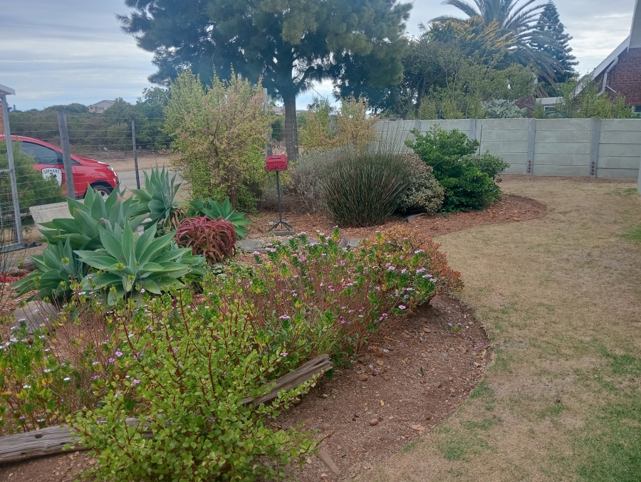 To Let 3 Bedroom Property for Rent in Noorsekloof Eastern Cape